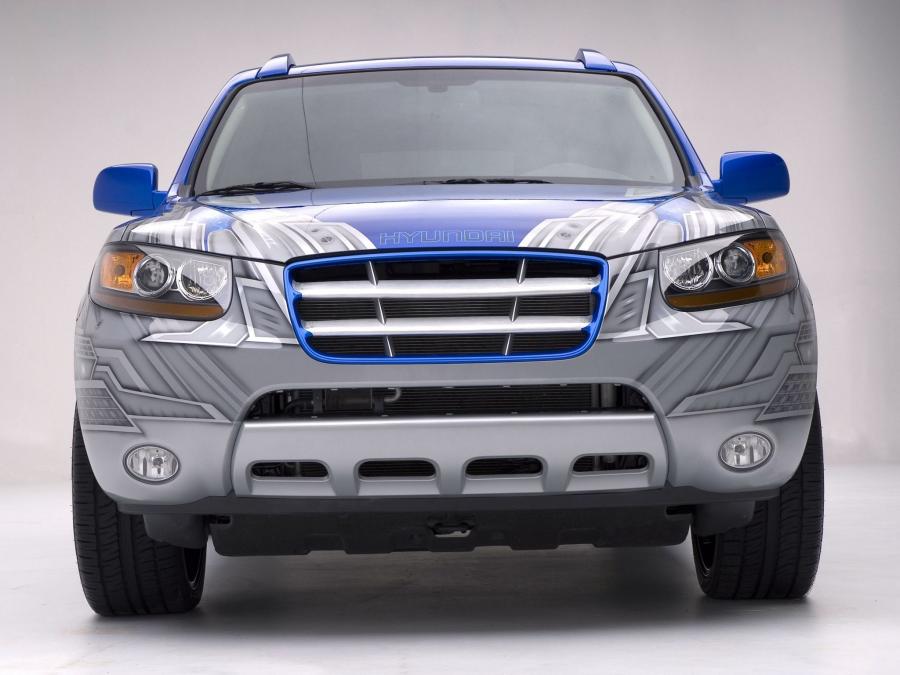  Hyundai Santa Fe by Troy Lee Designs 2006 года  (фото 3 из 3)
